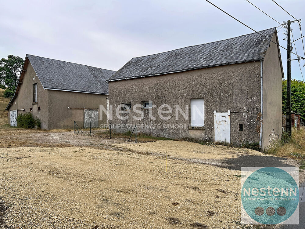 Vente Maison Plus de 500 m² de potentiel à 10 min de Blois ? Deux bâtiments sur 4 000 m² ! Chouzy sur cisse