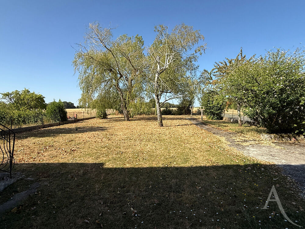 Vente Maison Maison à Vineuil de 7 chambres, sous-sol, jardin Vineuil