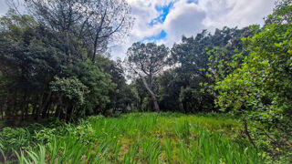  Terrain � vendre 2516 m�