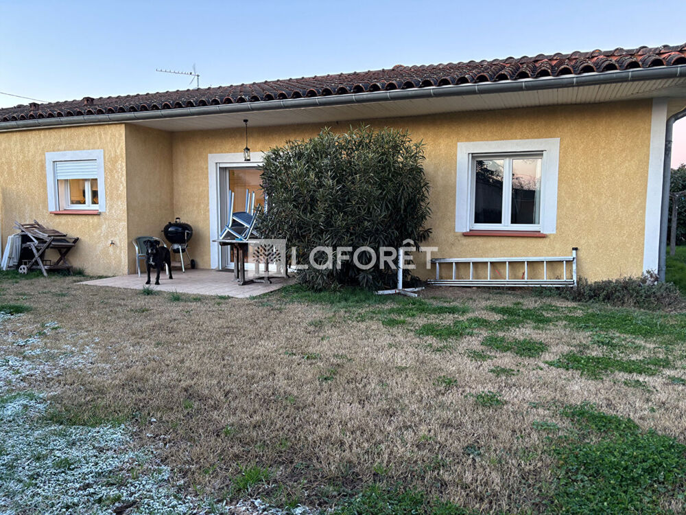 Location Maison A LOUER Maison plain-pied à MONTANS (81600) - 4 pièce(s) - 90 m² Montans