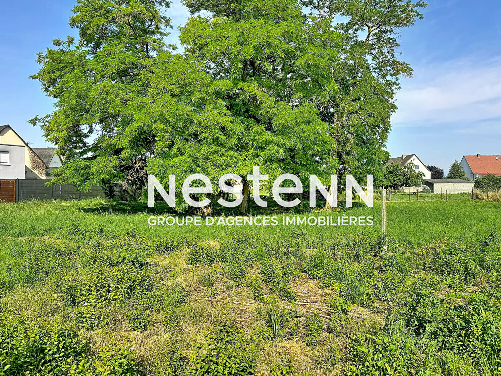 Vente Terrain Terrain Westhouse 1500 m2 - Westhouse Westhouse