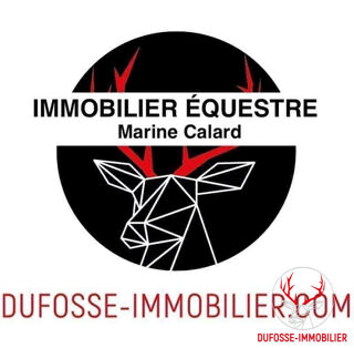  Maison à vendre 15 + pièces 
