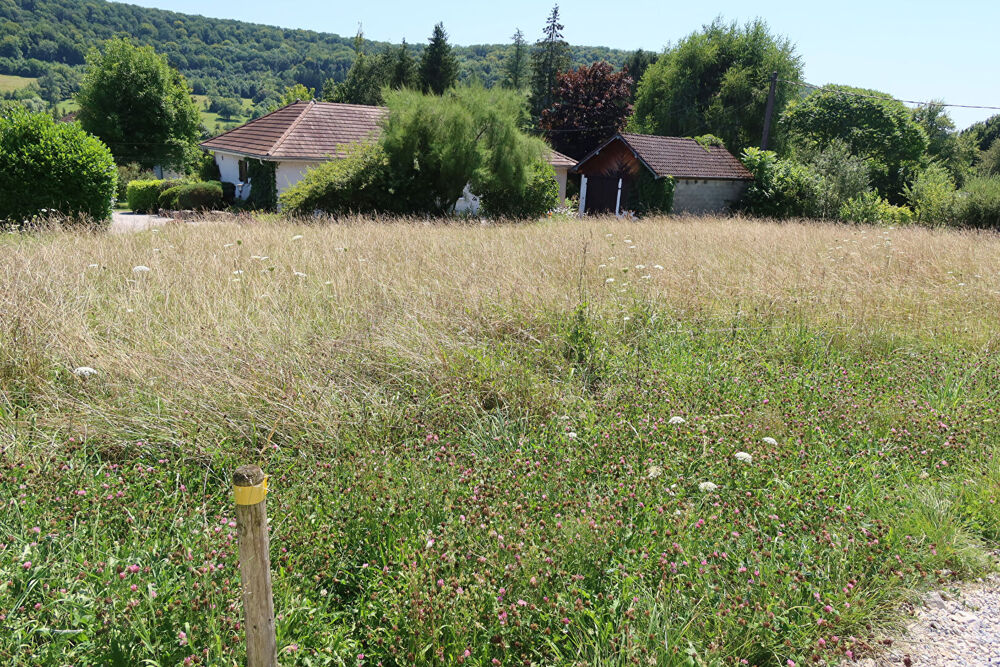 Vente Terrain terrain constructible viabilisé Rurey