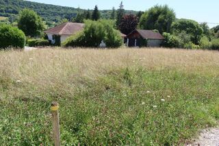  Terrain à vendre 982 m²