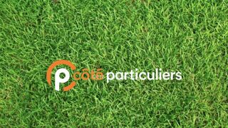  Terrain � vendre 1146 m�