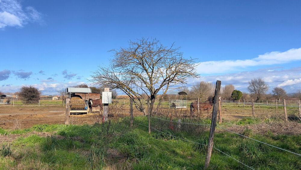 � vendre  Maison Bagnols-sur-C�ze (30200)