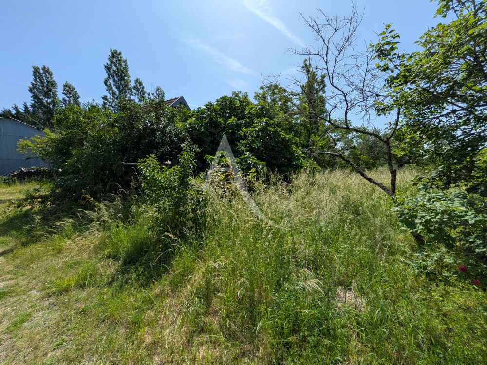 ONZAIN - 20 KMS DE BLOIS - 20 KMS D'AMBOISE
