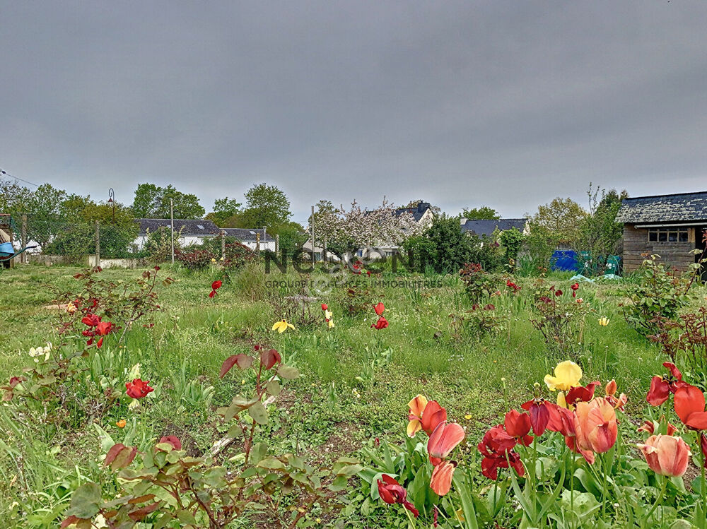 Vente Terrain Terrain constructible � vendre en plein centre d'Ambon Ambon