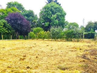  Terrain � vendre 1254 m�