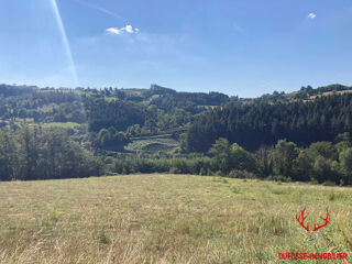  Terrain à vendre 10050 m²