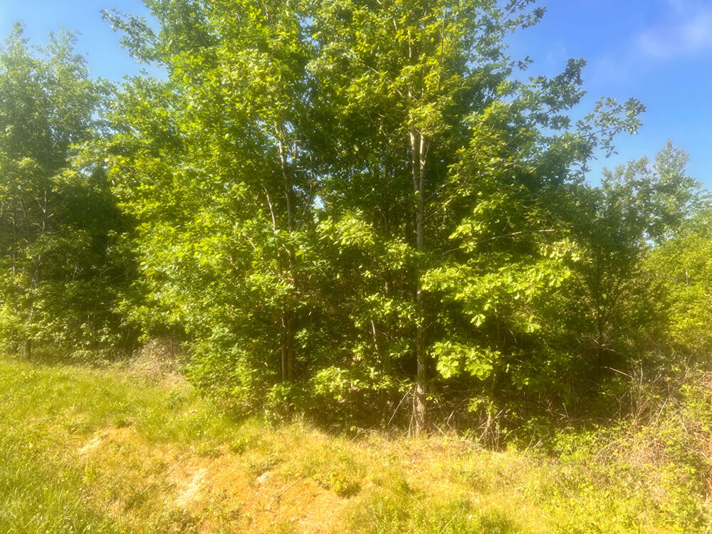 Vente Terrain Terrains nature avec fort potentiel Negrepelisse