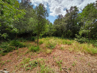  Terrain � vendre 3120 m�