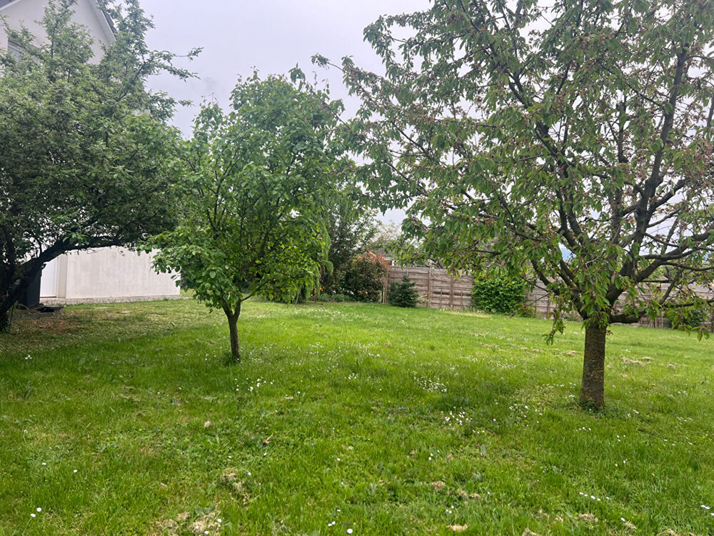 Vente Terrain Terrain Merxheim 500 m2 Merxheim