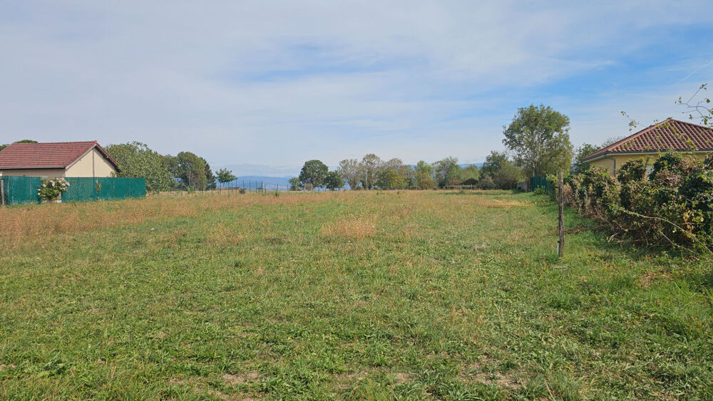 Vente Terrain ST ANDRE LE GAZ - Terrain à bâtir - 3877m² - Libre constructeur Saint andre le gaz