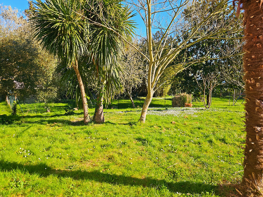Vente Maison VENTE Maison avec jardin privatif et double garage Saint sever