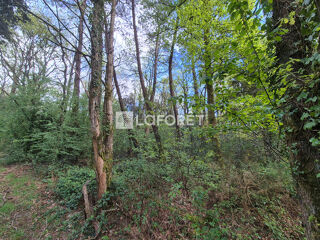  Terrain à vendre 3445 m²