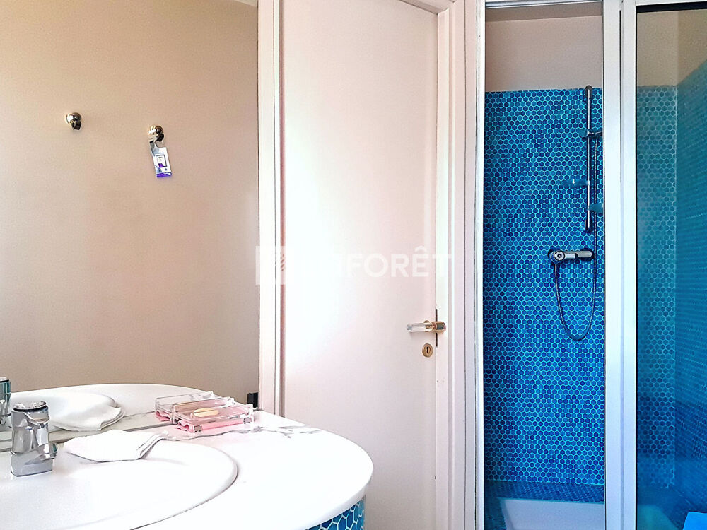  vendre  Maison Fenouillet (31150)