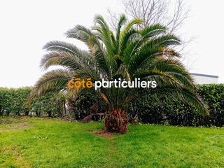  Maison  vendre 6 pices 100 m