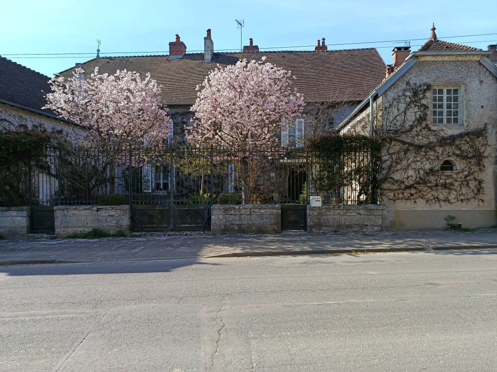 Vente Villa propriété de caractère avec parc arboré et potentiel professionnel Dampierre sur salon