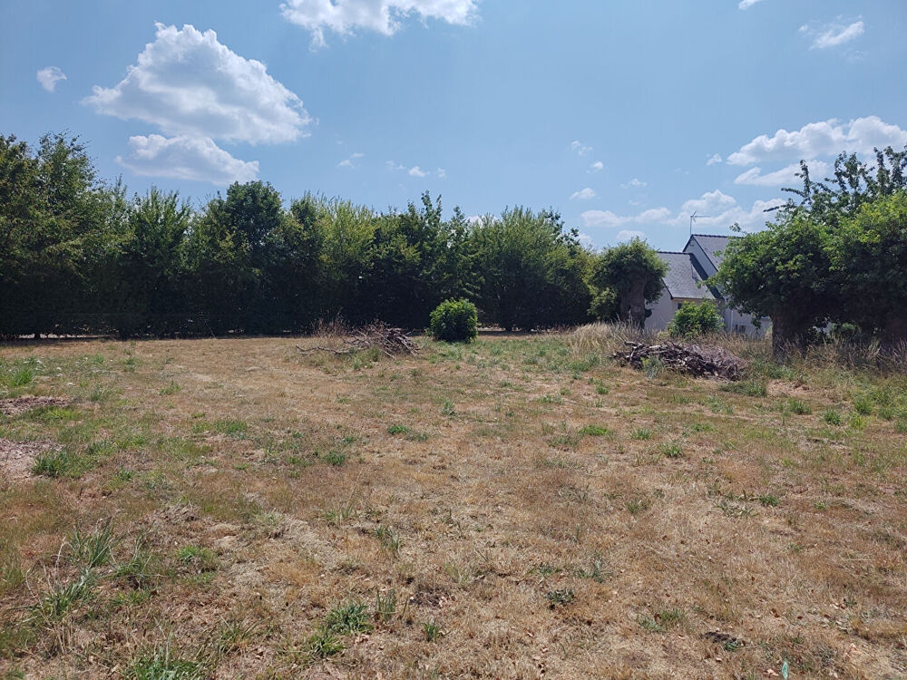 Vente Terrain PLEUCADEUC - Opportunité rare - Terrain constructible de 1290 m². Pleucadeuc