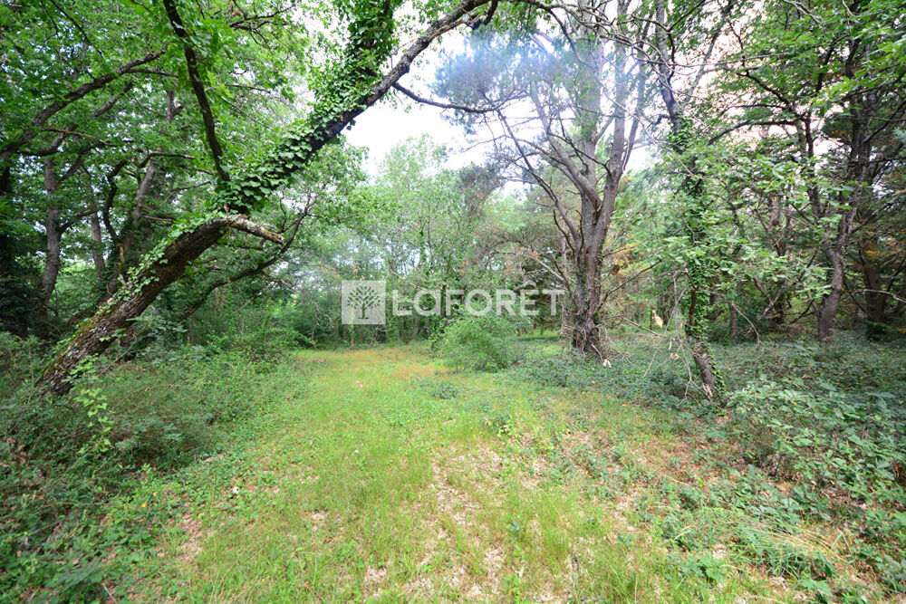 Vente Terrain Terrain Secteur Fronton - 11480 m2 Fronton