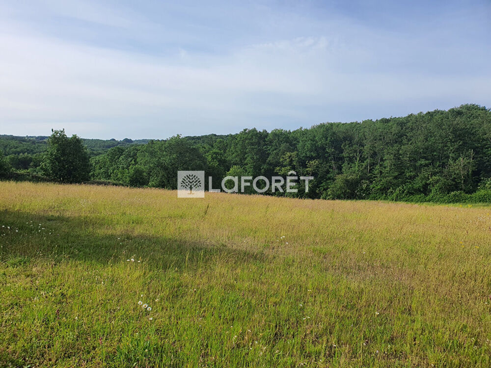 Vente Terrain 7 minutes nord de Villemur-sur-Tarn, terrain de 1970 m² environ. Villemur sur tarn