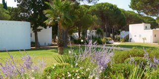  Appartement � vendre 2 pi�ces 31 m�