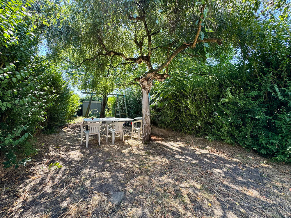 CITYA MELANTOIS RONCHIN : MAISON 4 CHAMBRES - JARDIN - CAVE - FACHES-THUMESNIL