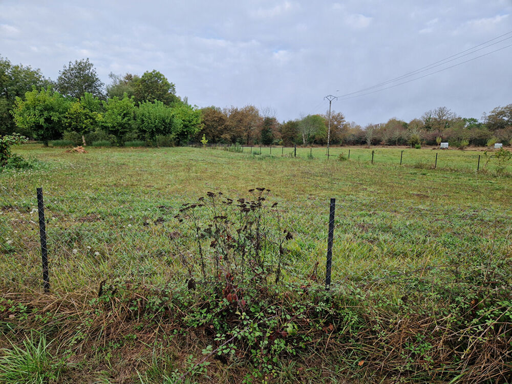 Vente Terrain Terrain Menesplet 1015 m2 Menesplet