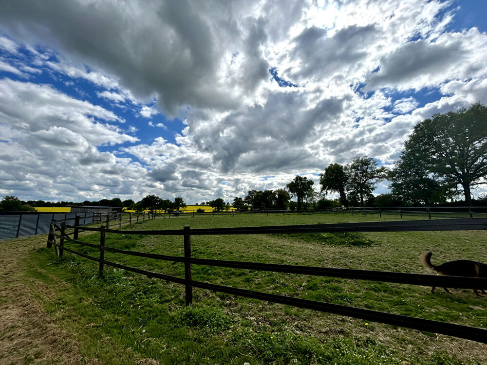 Vente Villa Écurie de course sur 15 ha Chateau gontier sur mayenne