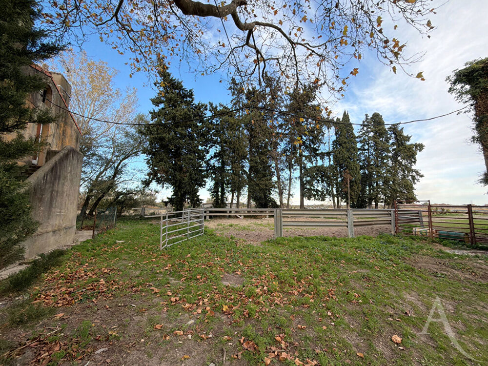 � vendre  Villa Arles (13200)