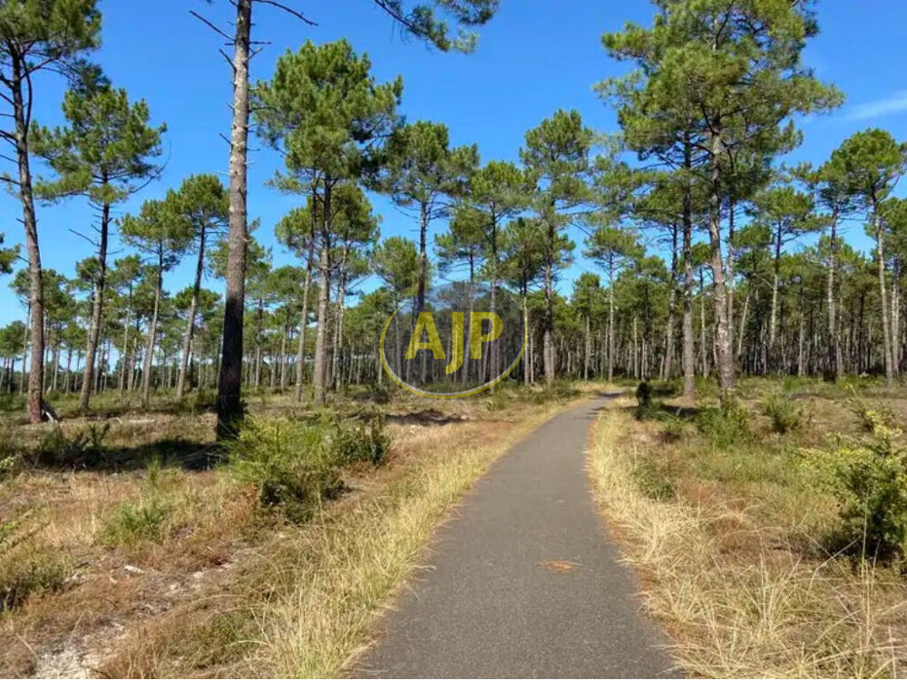 Vente Appartement BISCARROSSE-PLAGE :  Apt T2 à 2 min de l'océan Biscarrosse plage