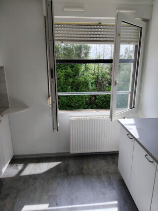  Appartement à louer 1 pièce 45 m²