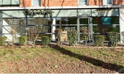 LOCAL PROFESSIONNEL GRATENTOUR CENTRE VILLE 1280 31150 Gratentour