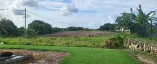  Terrain � vendre 1000 m�