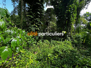  Terrain  vendre 3391 m