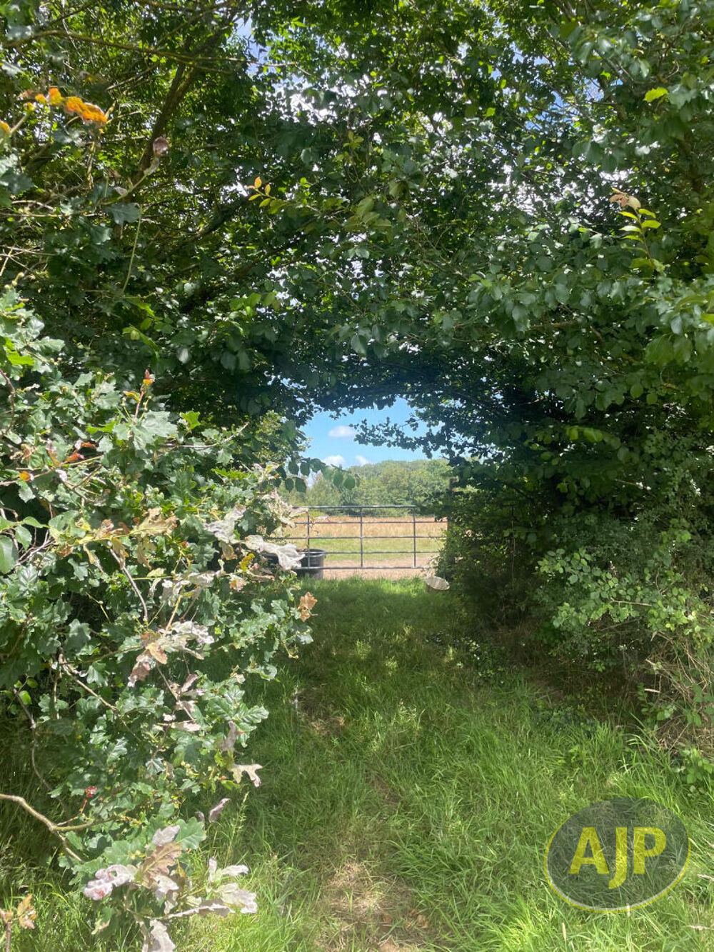 Vente Maison Propriété équestre Chateauneuf