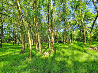  Terrain à vendre 6105 m²