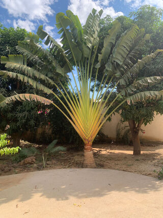  Maison � vendre 6 pi�ces 174 m� Ngaparou