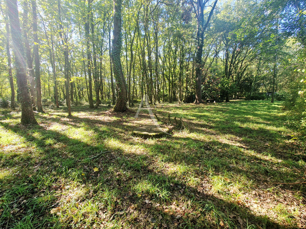 Vente Terrain Terrain de loisirs avec puit Brem Sur Mer Brem sur mer