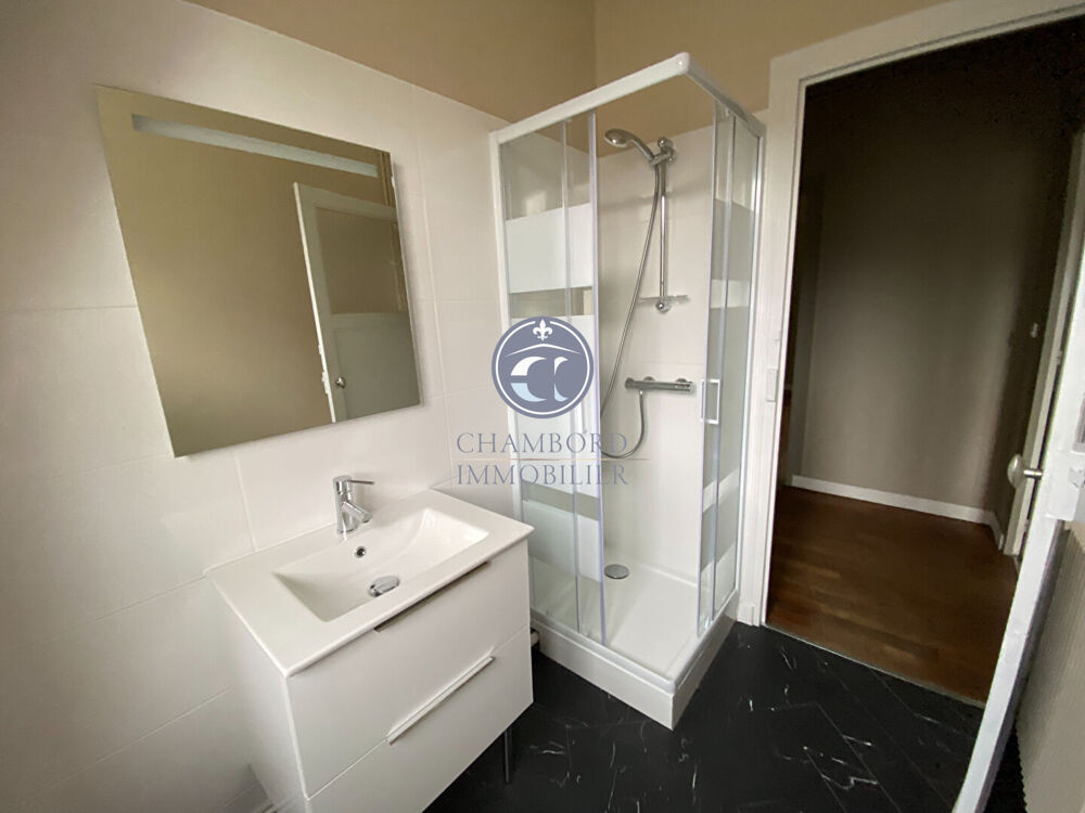 Location Appartement Appartement de charme en centre-ville Blois