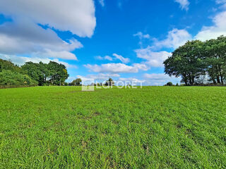 Vente Terrain Terrain Guegon 27637 m2 Guegon