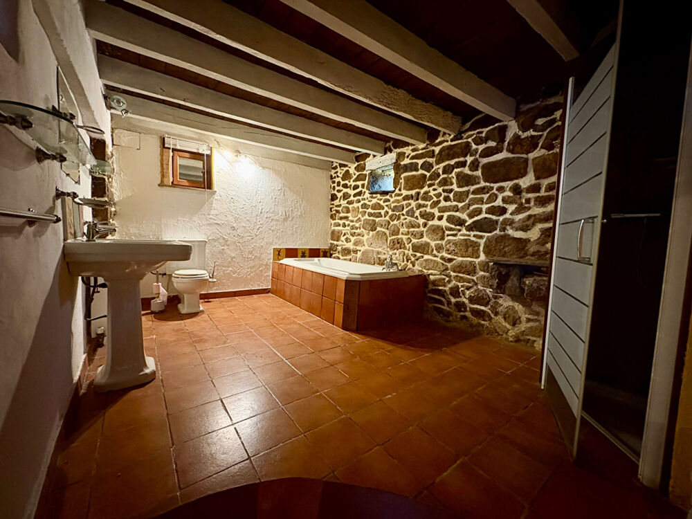 Vente Maison Propriété en pierre avec vaste terrain et belle vue Viazac