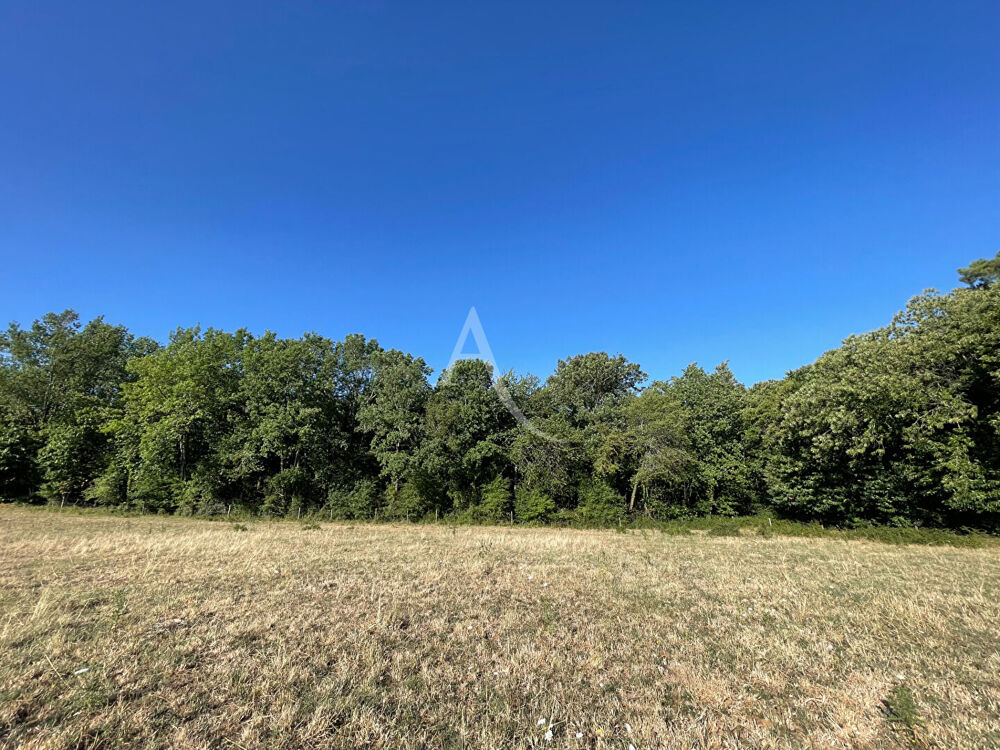 Vente Terrain Bois -  Montagnac-sur-Lède - 24 000 m2 Montagnac sur lede