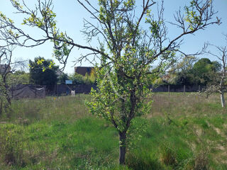  Terrain  vendre 431 m