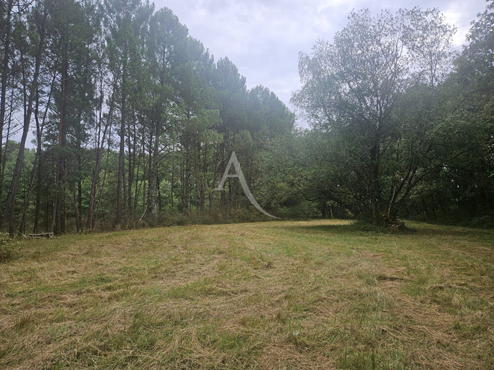 Vente Terrain Superbe Étang de 5 000 m2 sur une parcelle de 2 ha de terres et de bois ! Cere la ronde