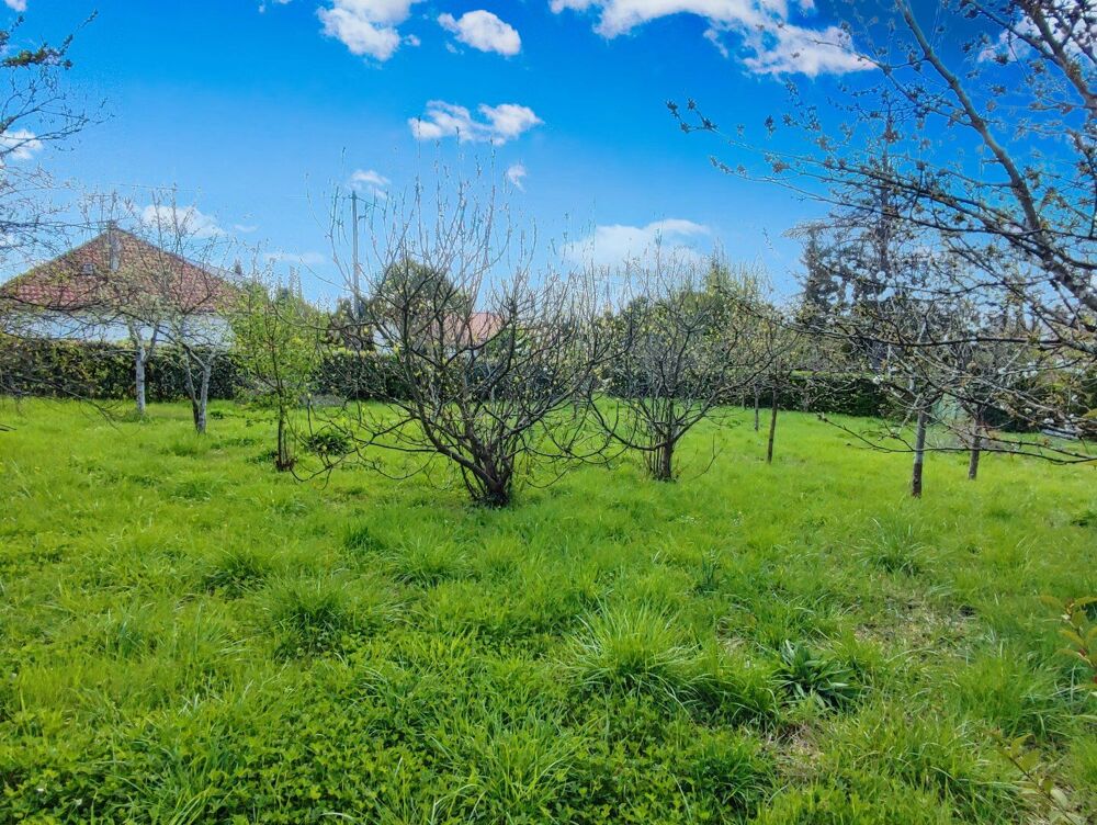 Vente Terrain Terrain constructible de 800m² Montesquieu volvestre