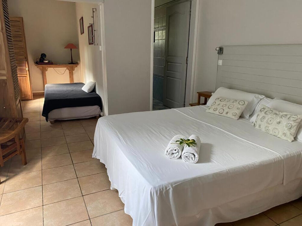 Vente Villa ENTRE-DEUX Magnifique Résidence de tourisme - Chambre d'hotes Entre deux