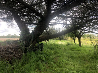  Terrain � vendre 5292 m�