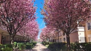  Appartement  vendre 3 pices 70 m